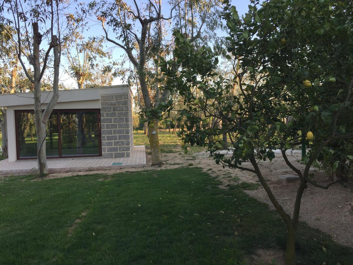 Tenuta Monaci La Murra Carmiano  Exterior foto